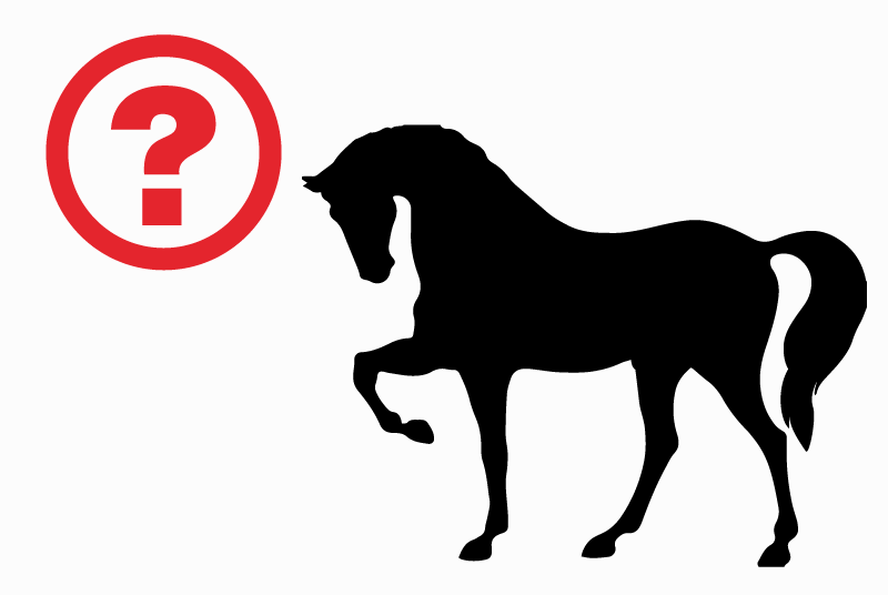 Alerte Disparition Cheval Mâle , 2025 ans Anglade France
